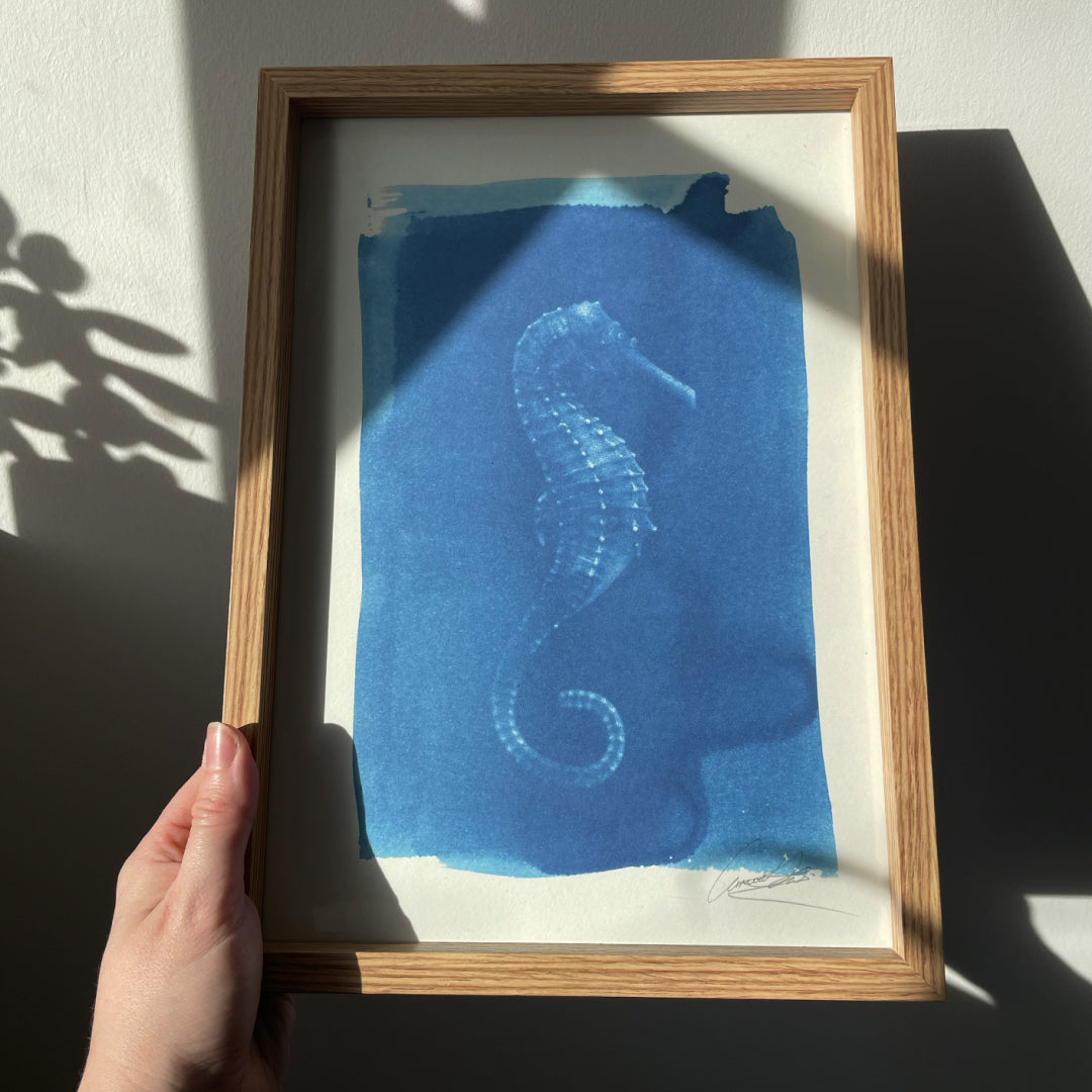 The Seahorse, Print