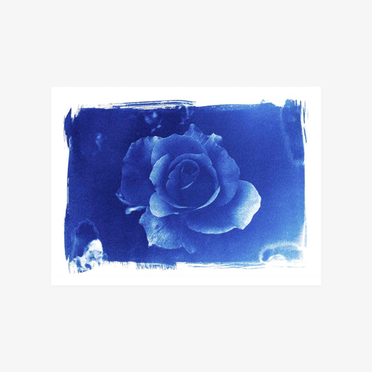 Bloom I, Original Cyanotype