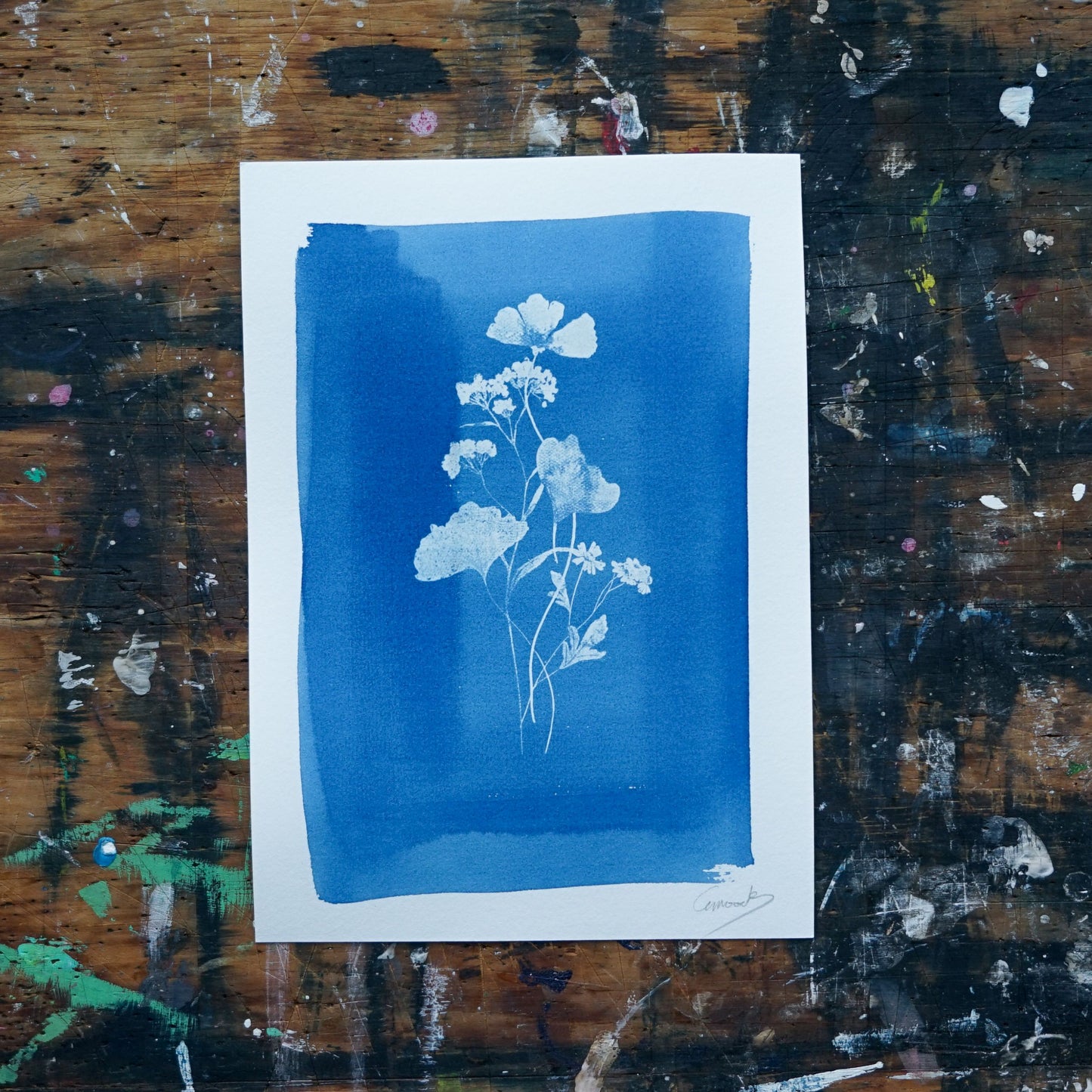 Wildflowers One, Original Cyanotype