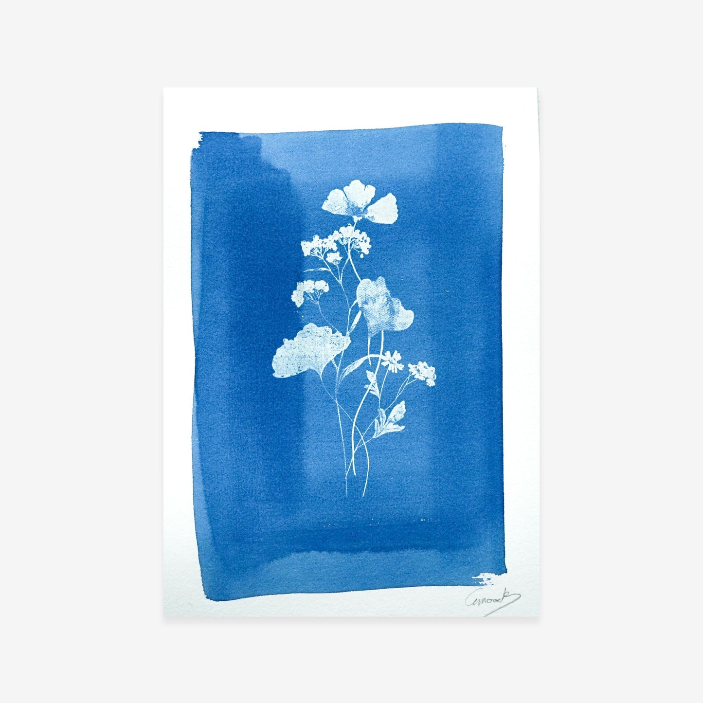 Wildflowers One, Original Cyanotype