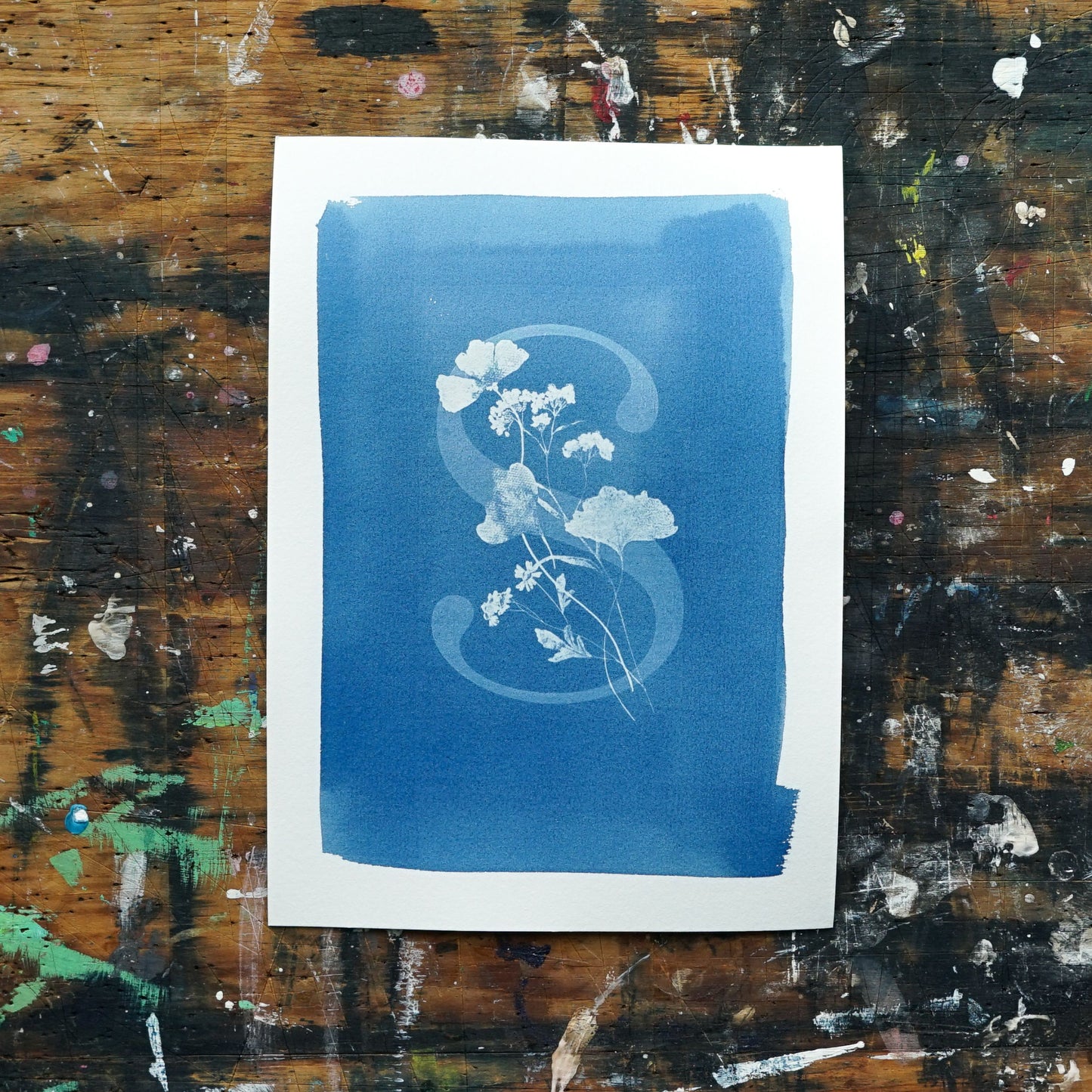Wild Letters